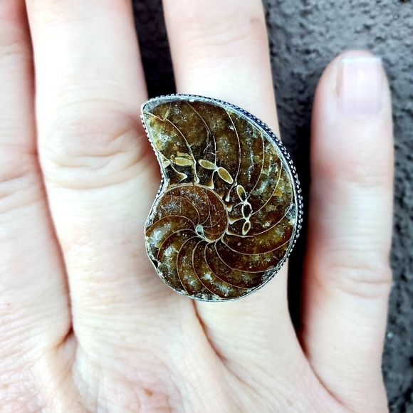 New Fossil Ammonite Silver Statement Ring. - Picture 5 of 16
